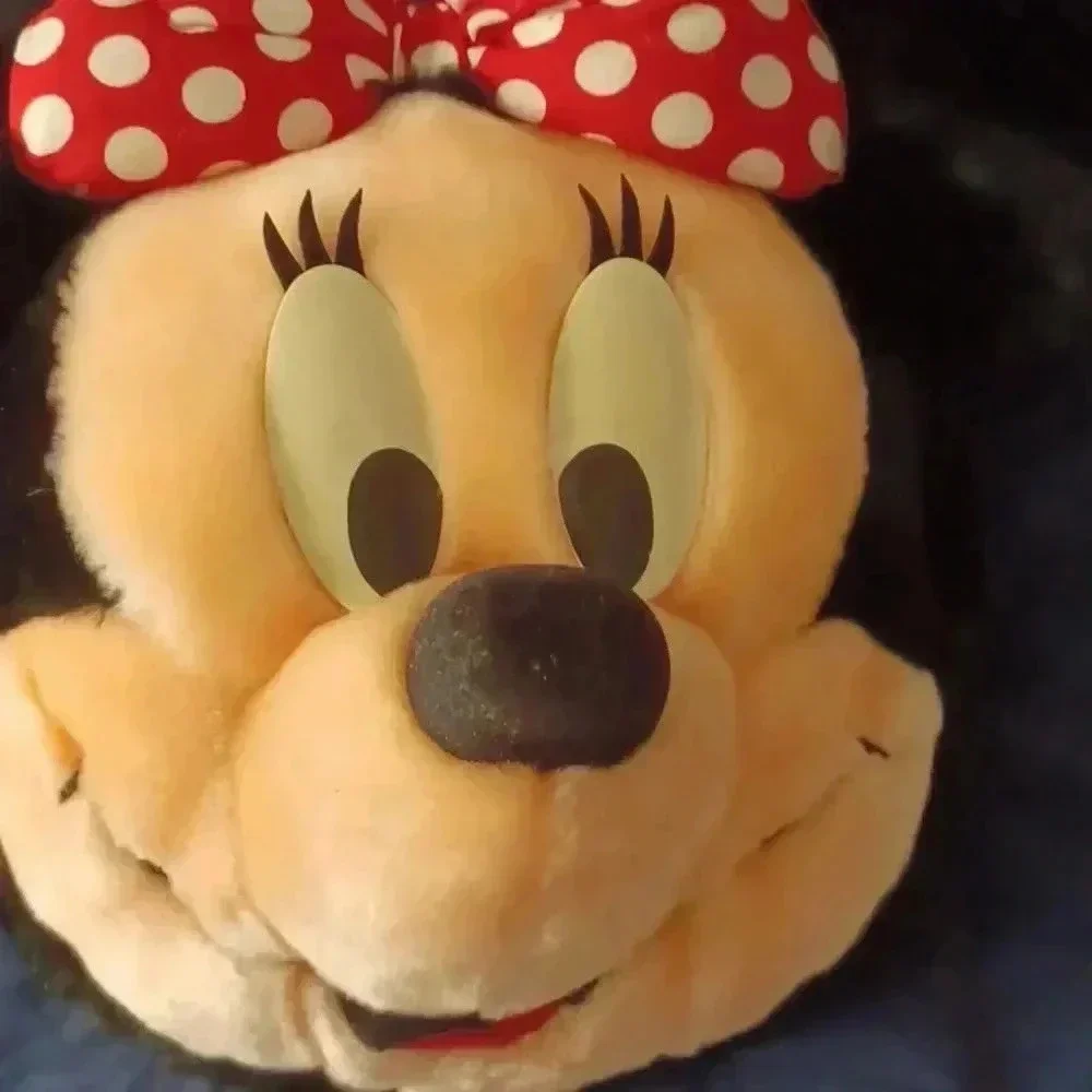 Vintage Disney bag